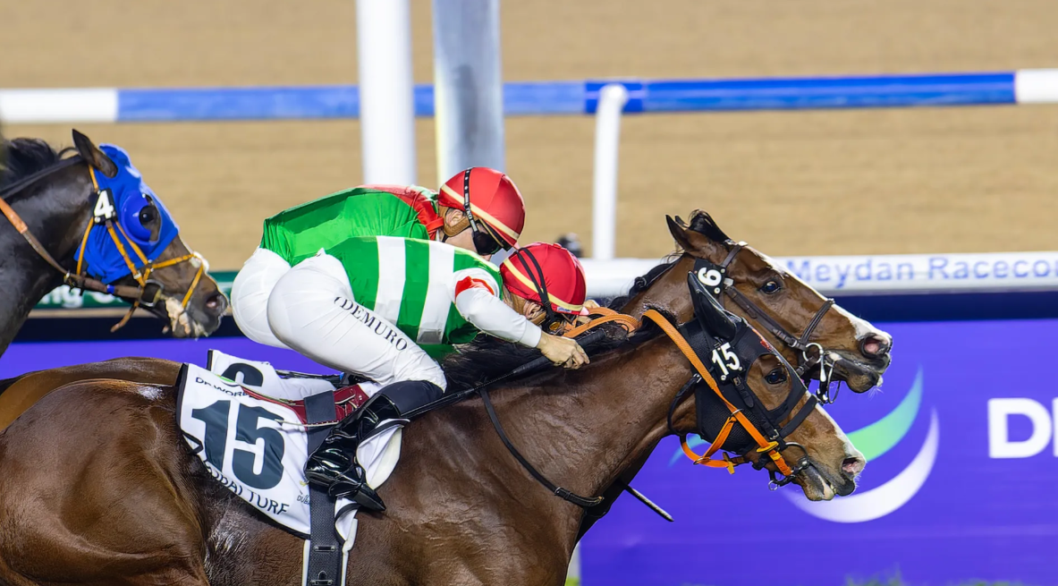 Meydan area guide racecource