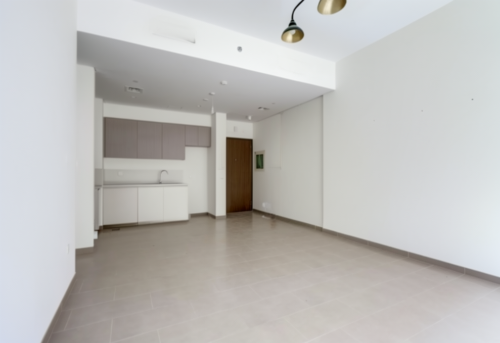 Park Heights II T2 1 BR distress resale lowest price living room