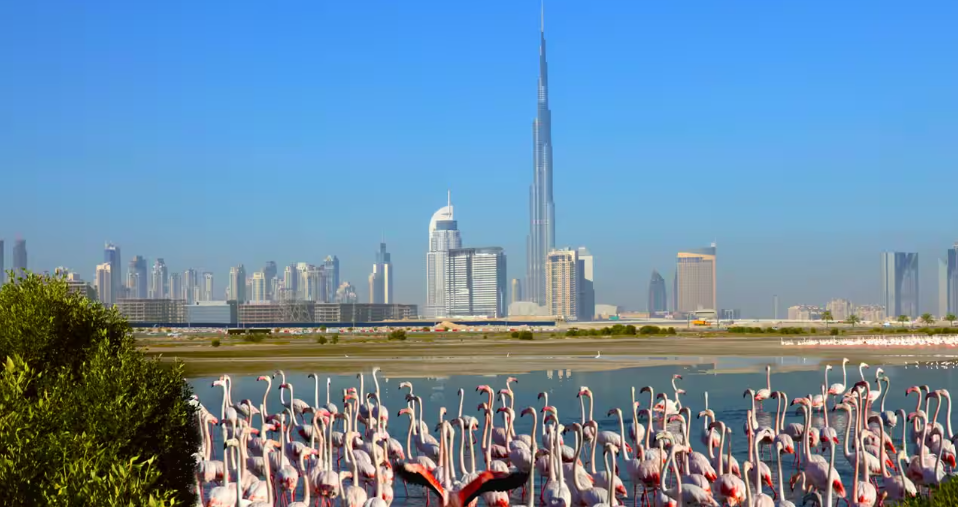 Dubai Creek Harbour area guide Ras Al Khor